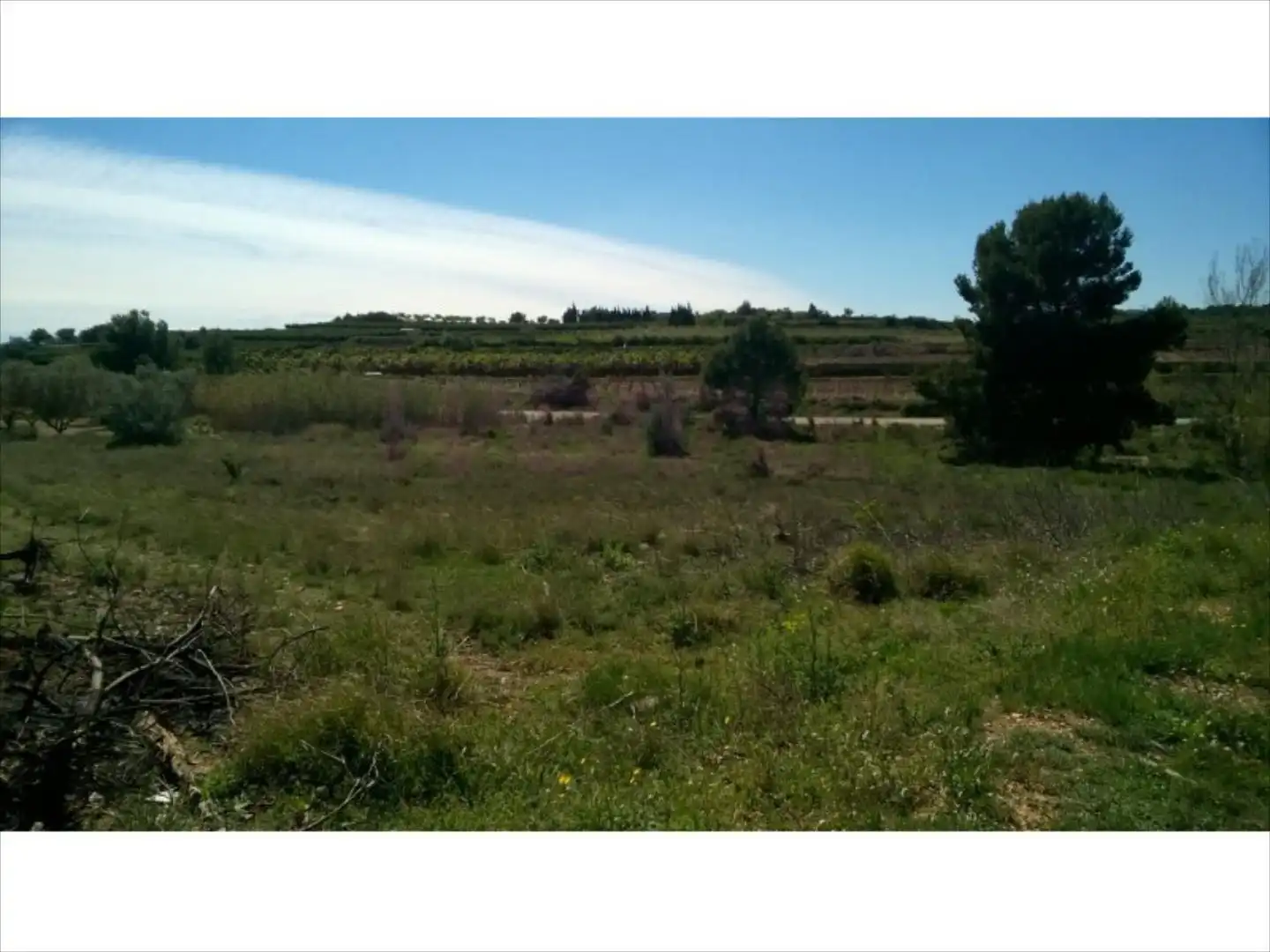 Terreno rustico in vendita a Cheste, imagen 3
