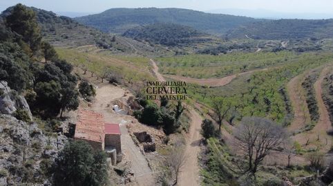 Foto 2 de Finca rústica en venda a Sierra Engarcerán, Castellón