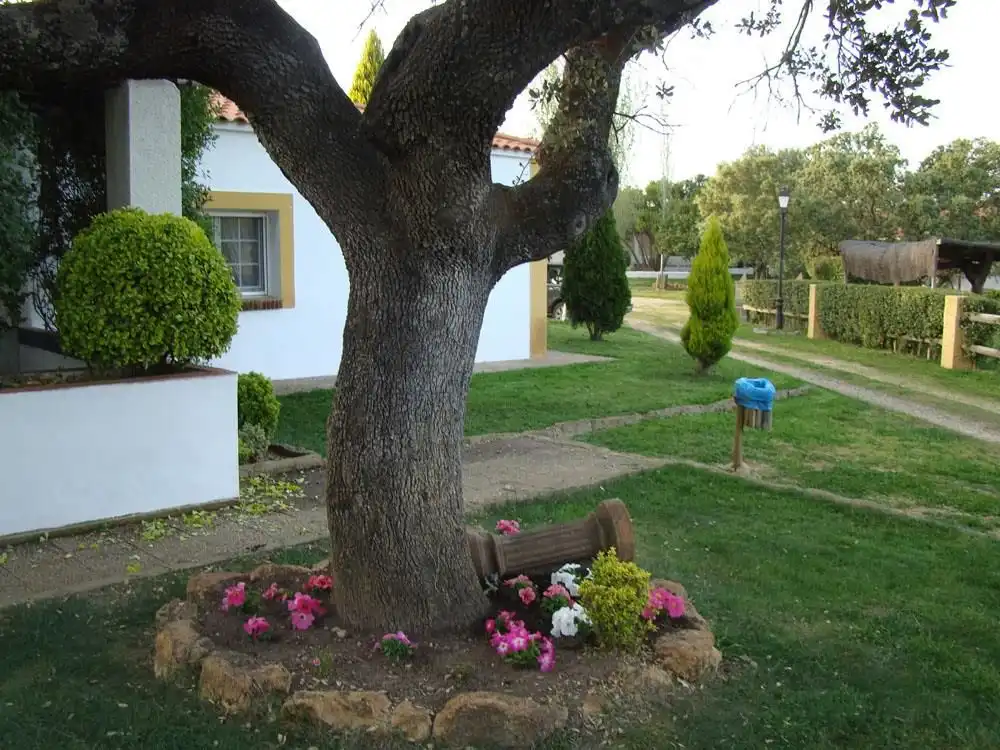 Terreni e lotti in vendita a Alcántara, imagen 37