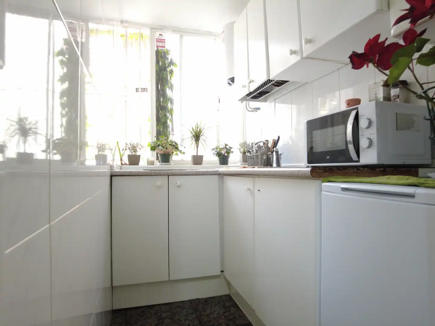 Kitchen of Study for sale in Marbella  with Furnished