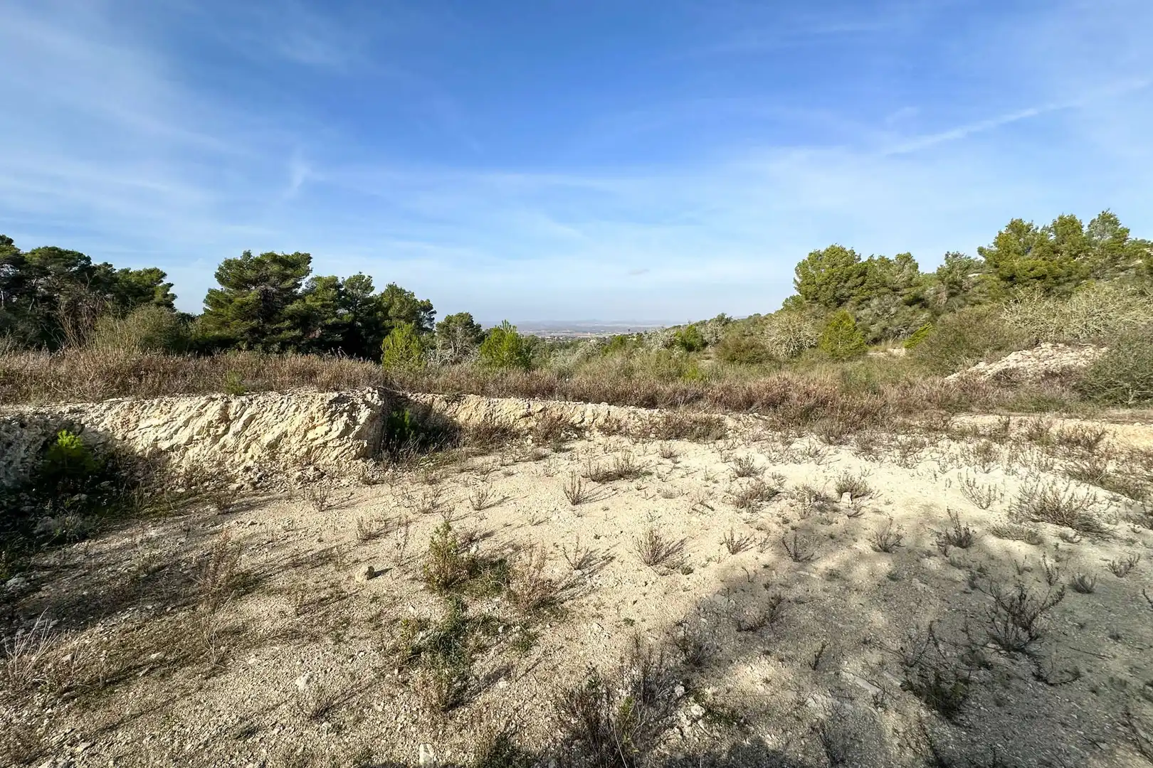 Residential land for sale in Manacor Centre, imagen 4