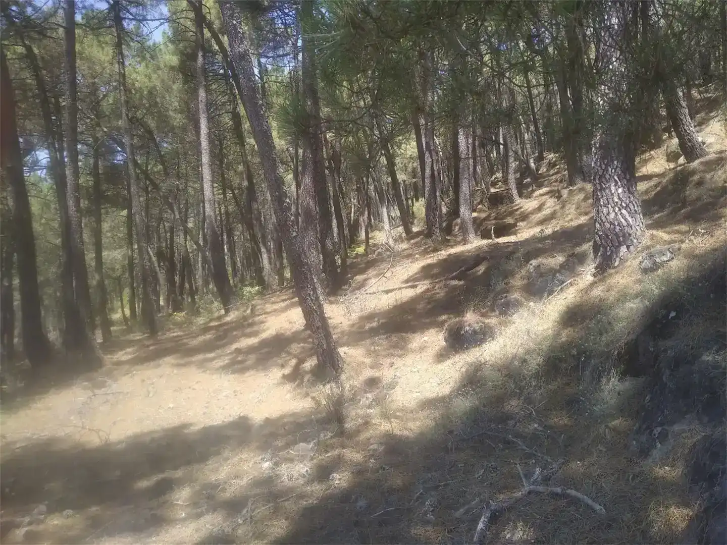 Pis en venda en Piedralaves amb Jardí privat