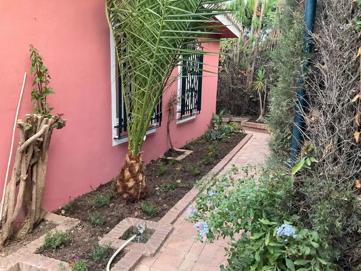 Villa mit Pool zur Miete in Calle los Jazmines 500, imagen 7