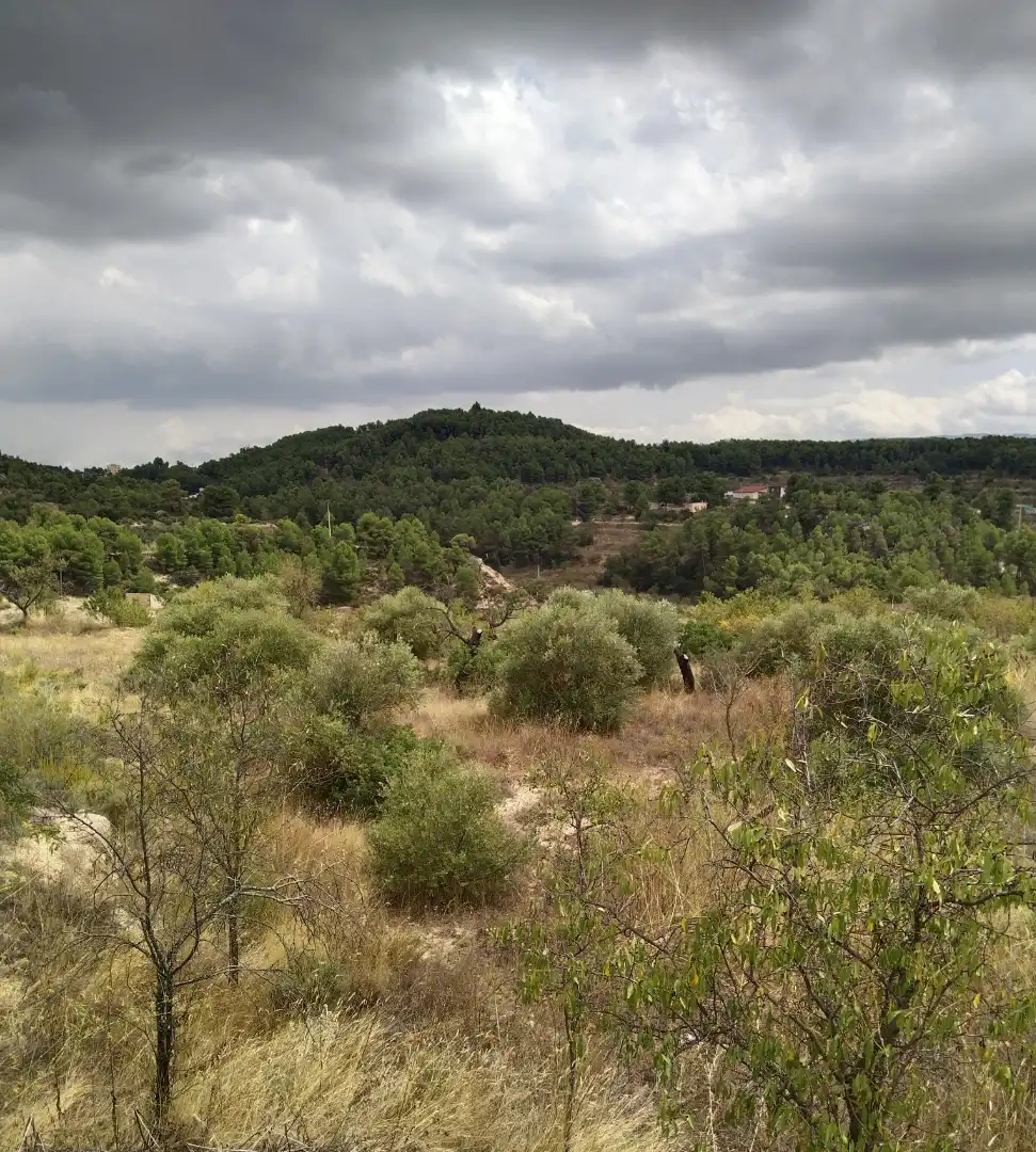 Terreno rustico in vendita a Carrer Onze de Setembre 21, imagen 10