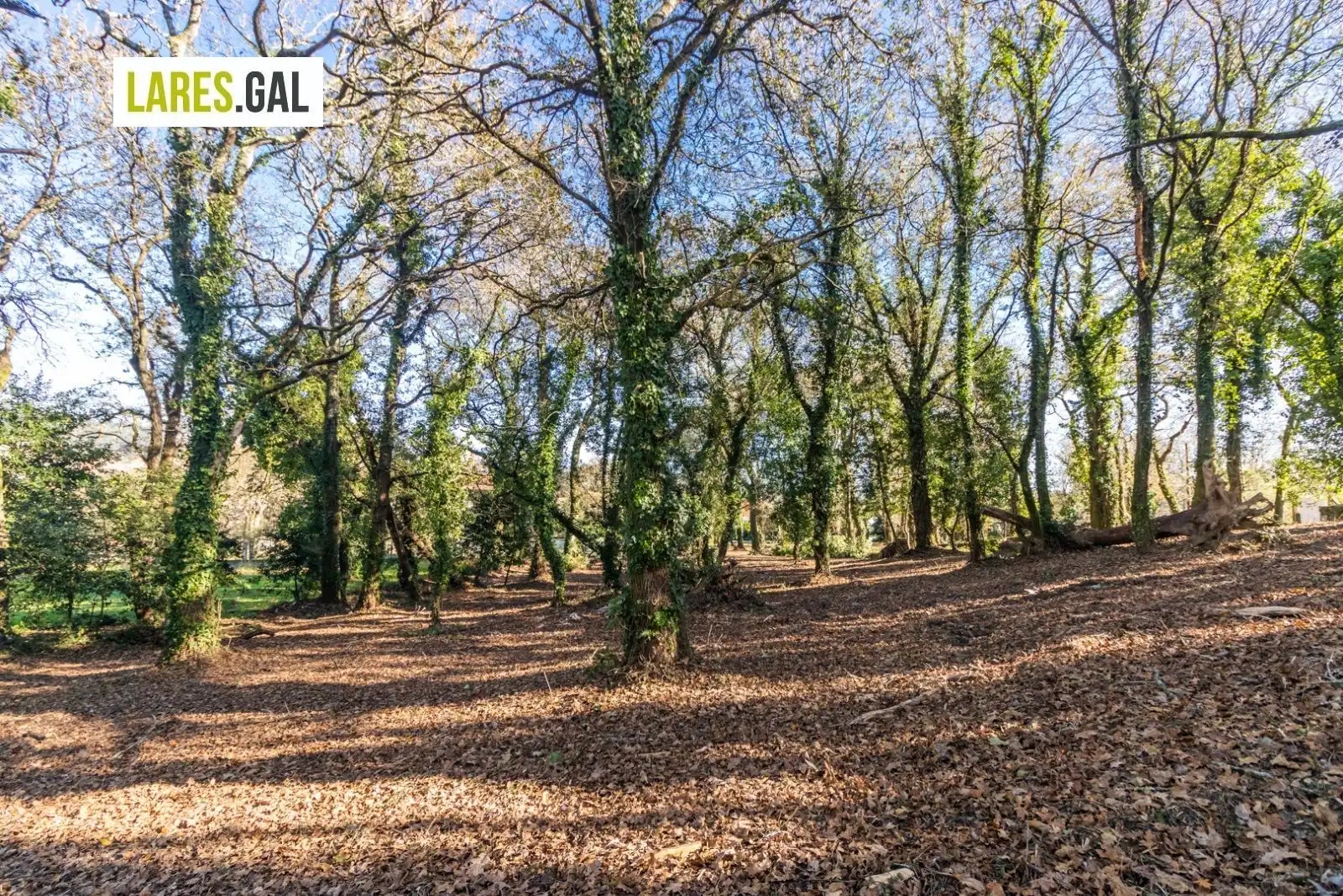 Lands and plots for sale in Rúa Ximeu