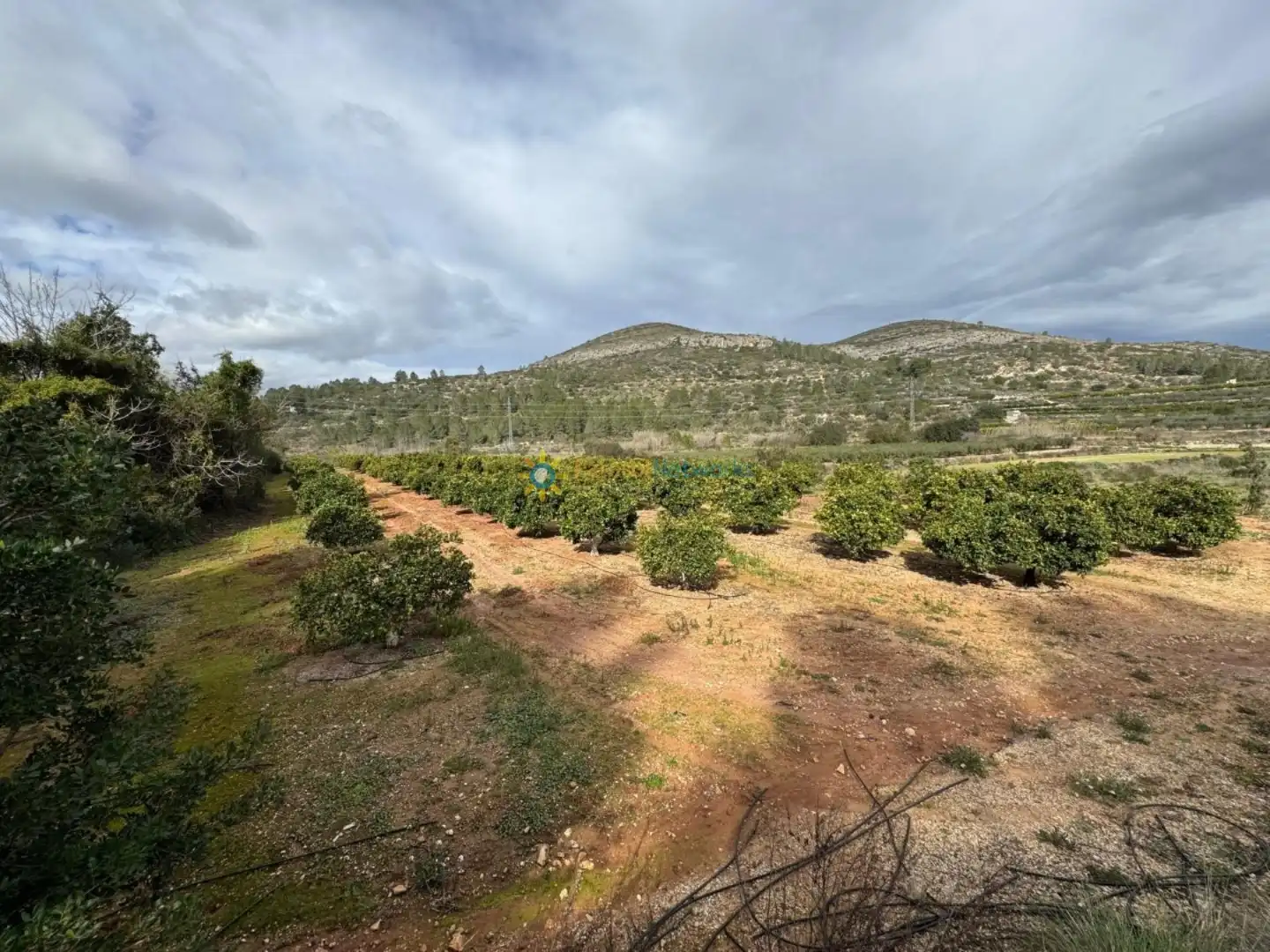 Rural land for sale in Benigànim, imagen 6