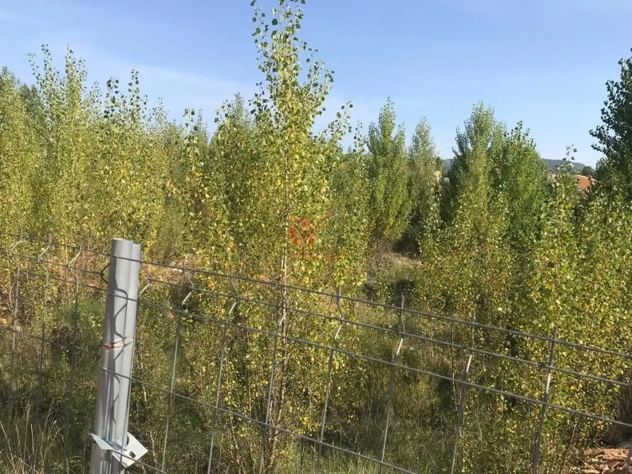 Terreno en venta en Villalba de la Sierra