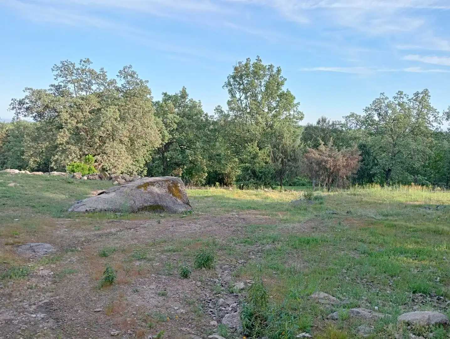 Terreno en venta en Villanueva de la Vera
