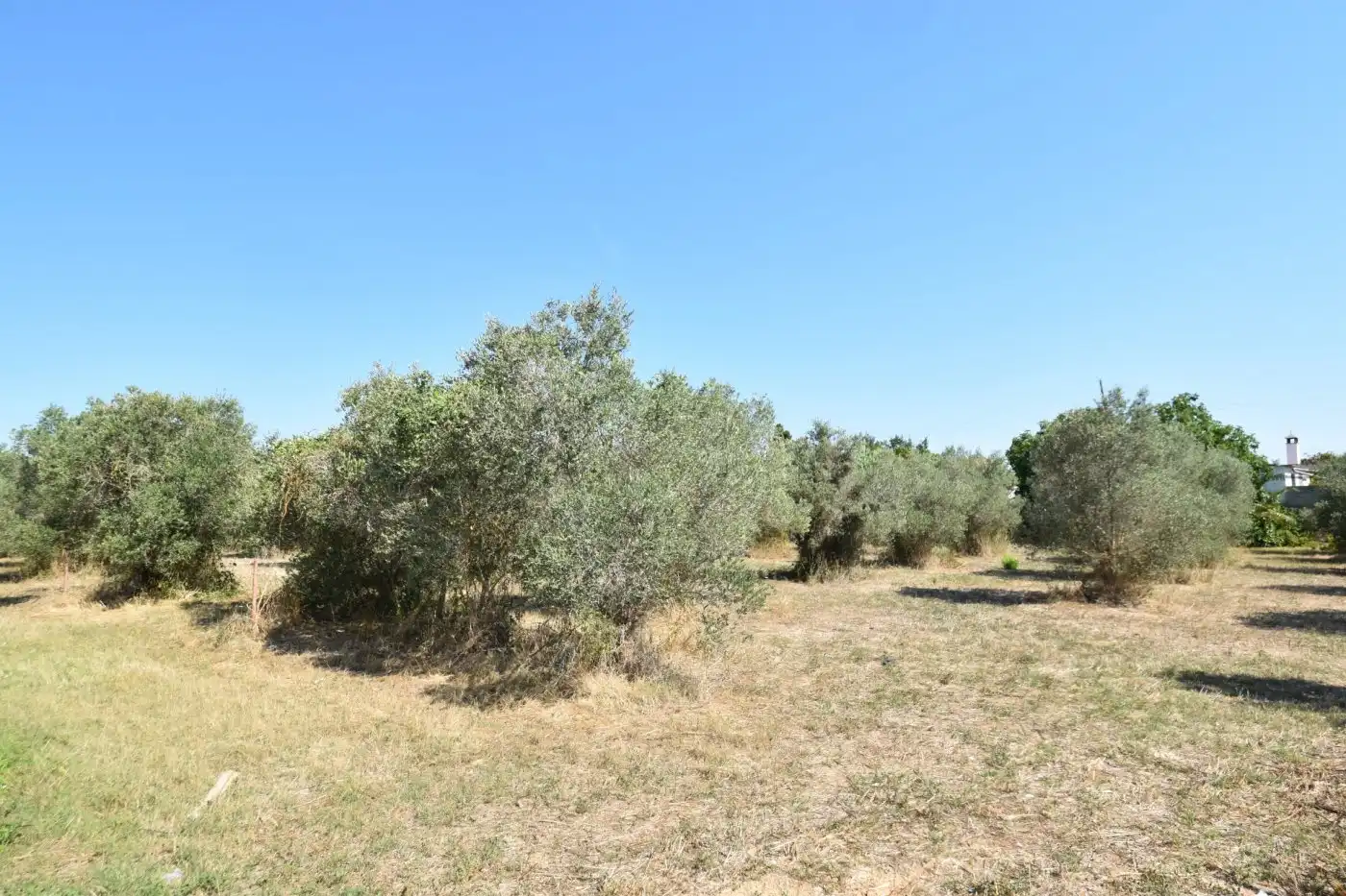 Country homes for sale in Vilanova i la Geltrú  with Terrace and Balcony