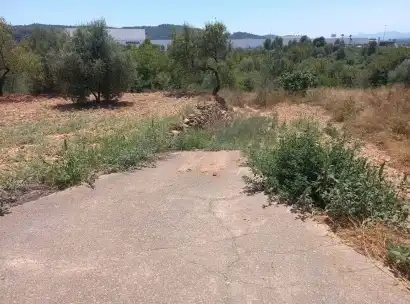 Terreny rústic en venda a PT S 7, imagen 10