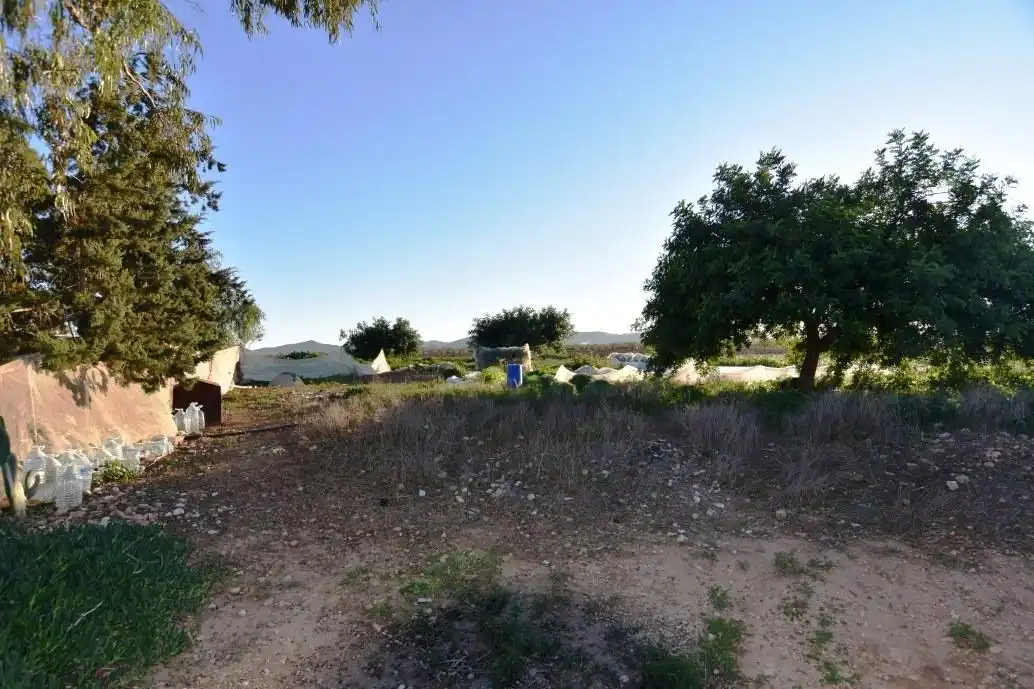 Finca rústica en venta en Fuente Álamo de Murcia con Jardín privado, Terraza y Trastero