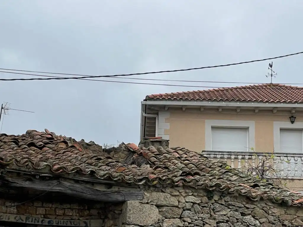 Vista exterior de Finca rústica en venta en Villaseco del Pan
