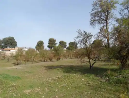 Rural land for sale in CR CARRETERA DE GRANADA Nº S/N, imagen 5