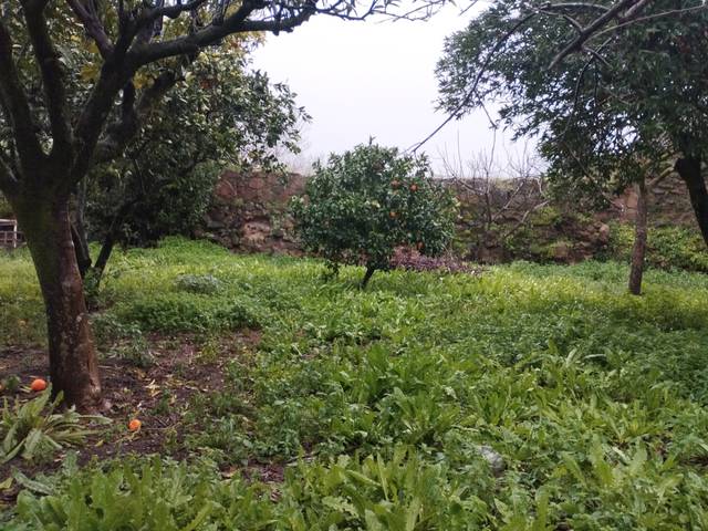 Planta baja en Venta en Jerez de los Caballeros