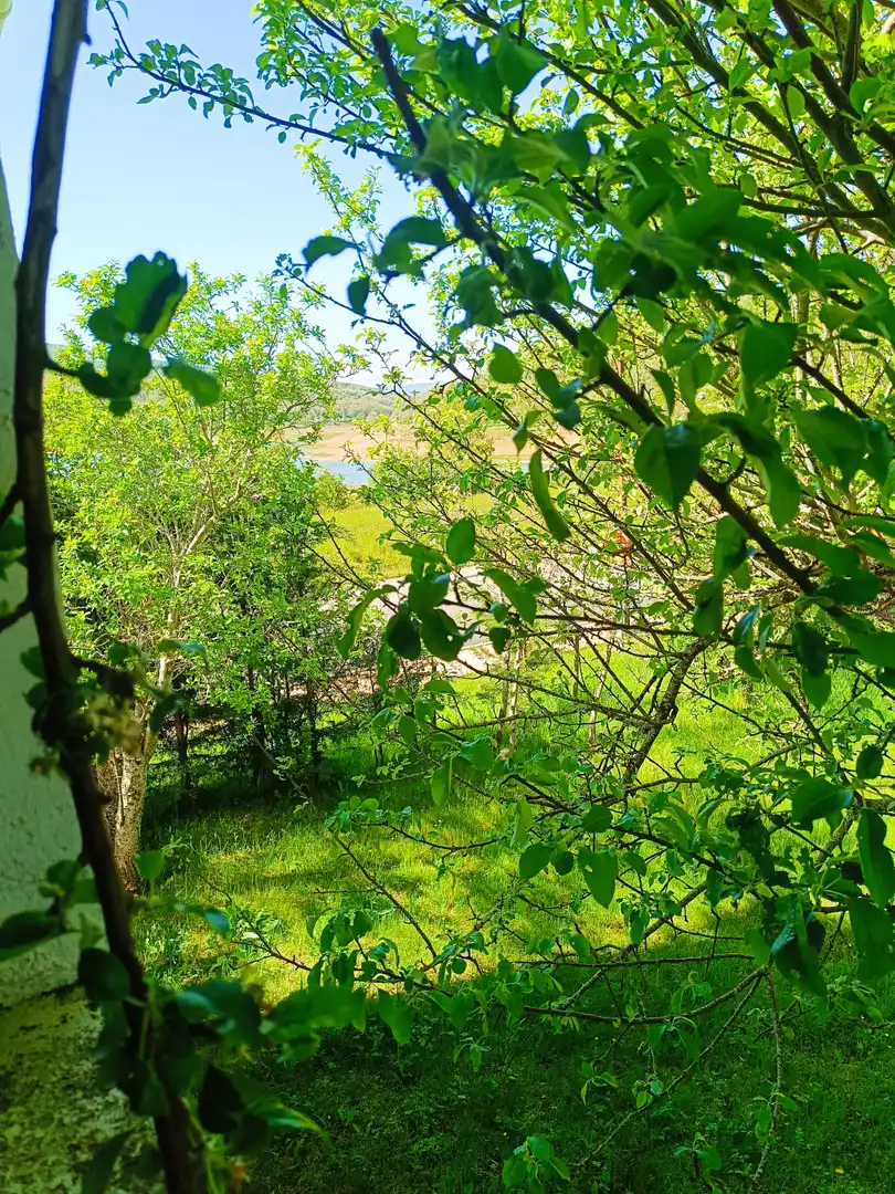 Casa o chalet en venta en Cervera de Pisuerga
