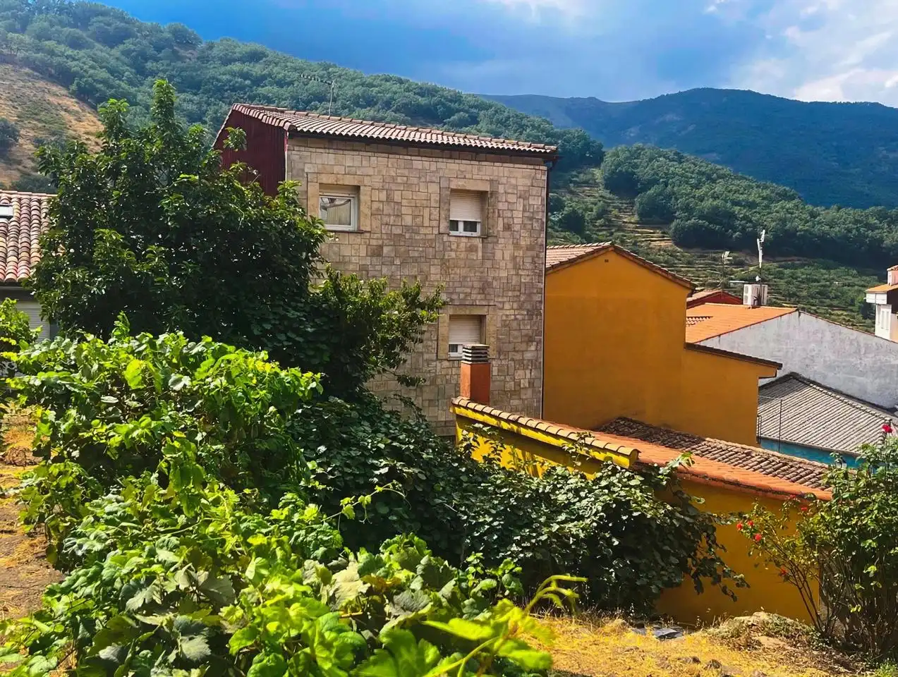 Exterior view of Houses for sale in Tornavacas  with Air Conditioner and Private garden