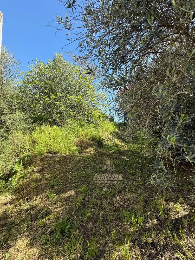 Maison à vendre à Almodóvar del Río, imagen 7
