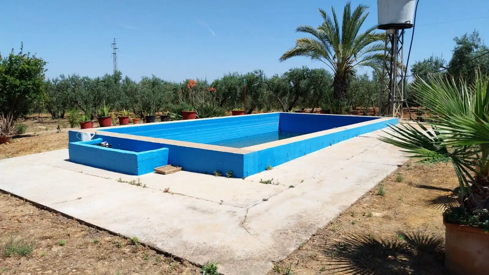 Piscina de Finca rústica en venta en Carmona