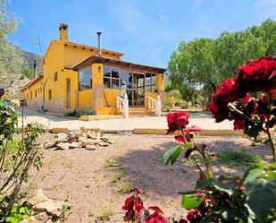 Garden of House or chalet for sale in Jumilla  with Community pool