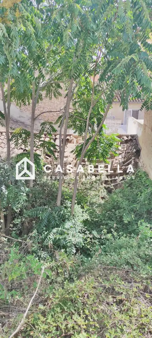 Vista exterior de Casa o chalet en venta en Burjassot con Jardín privado y Terraza
