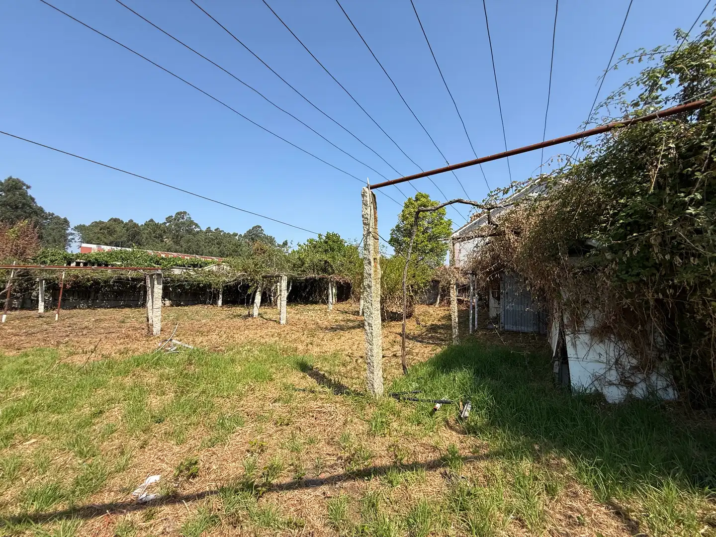 Finca rústica en venda en Cambados amb Jardí privat