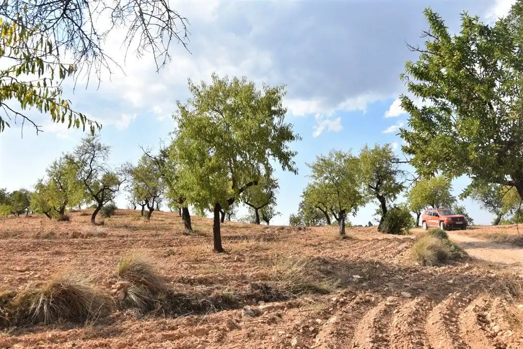 Terreni e lotti in vendita a Cretas, imagen 11