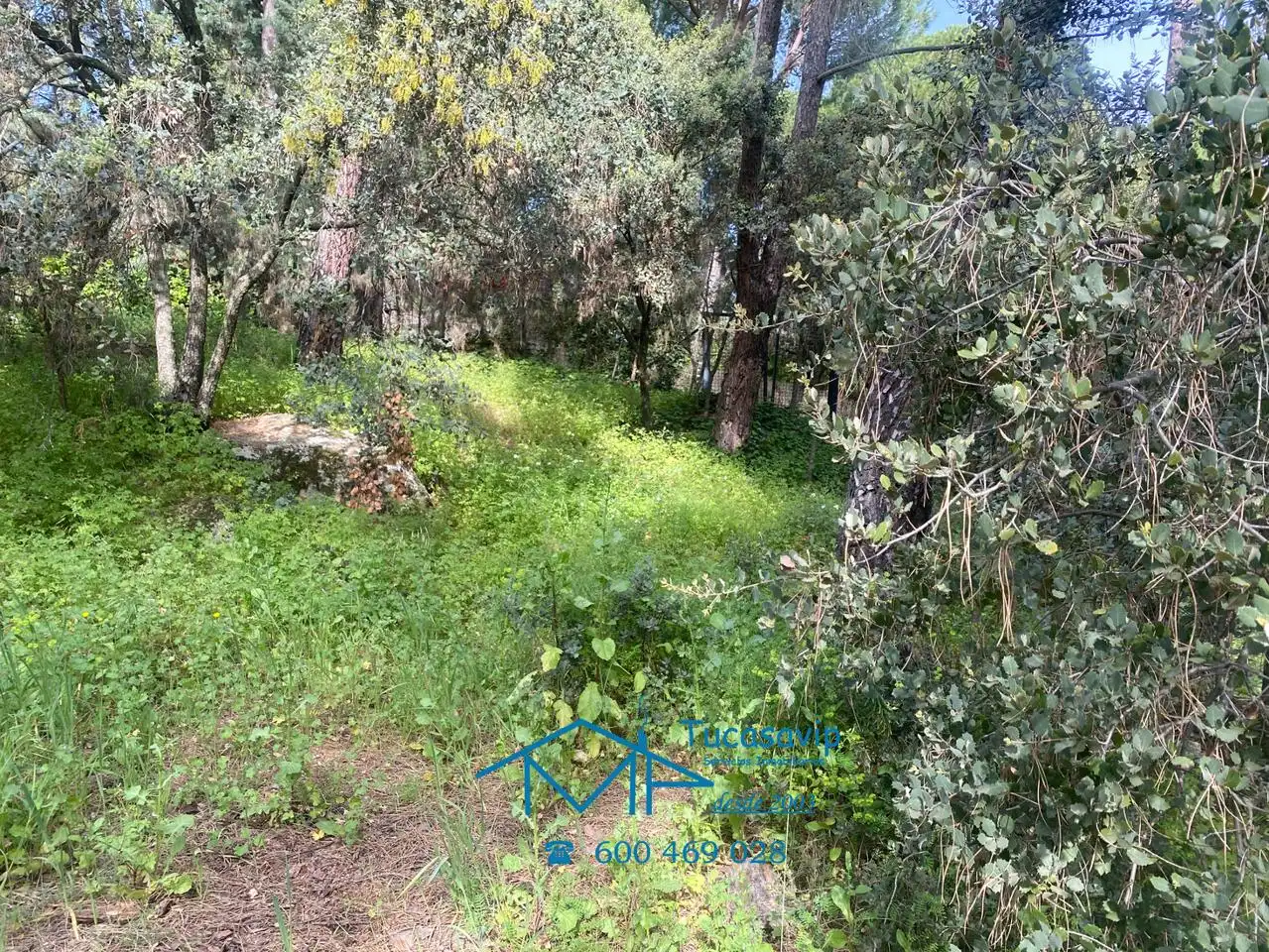 Terreni e lotti in vendita a Cebreros, imagen 15