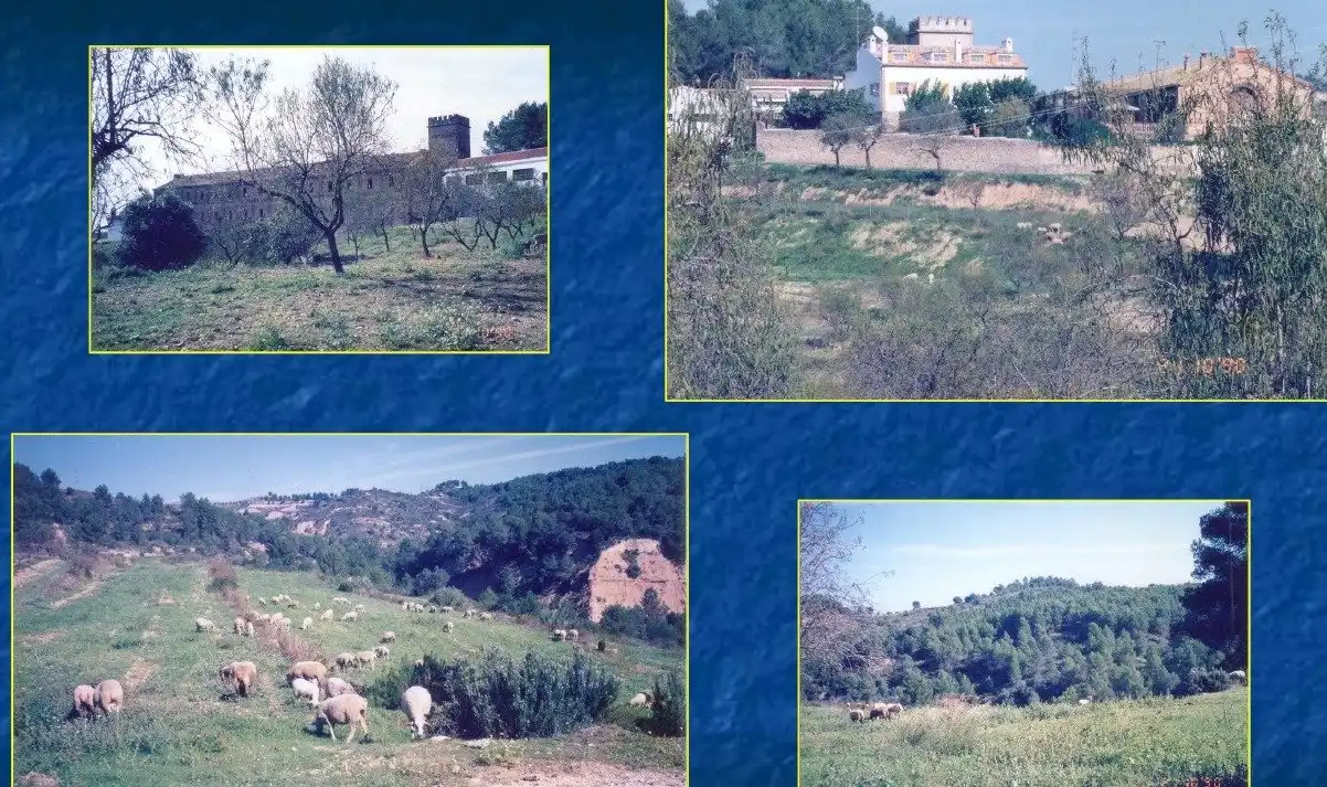 Finca rústica en venta en Castellbisbal, Barcelona