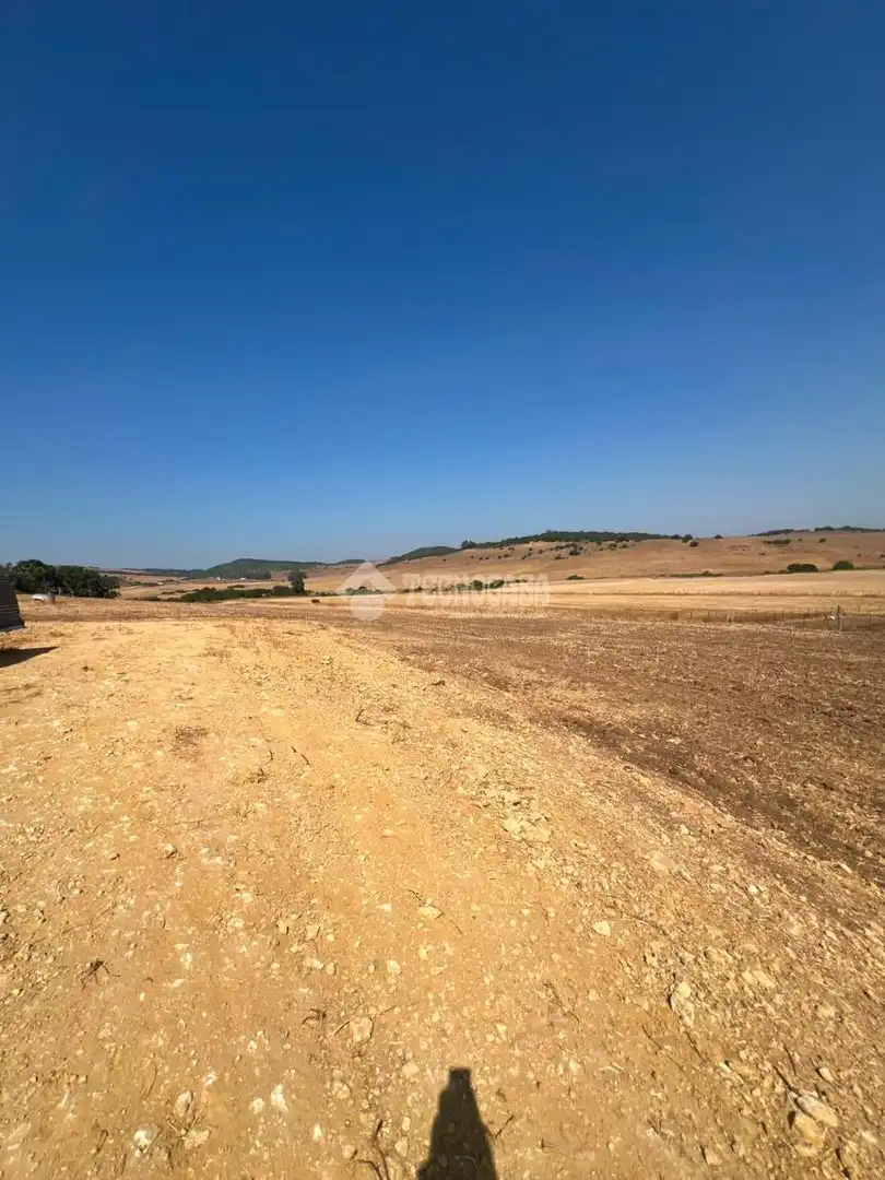 Casa con jardín en venta en Medina Sidonia, imagen 9