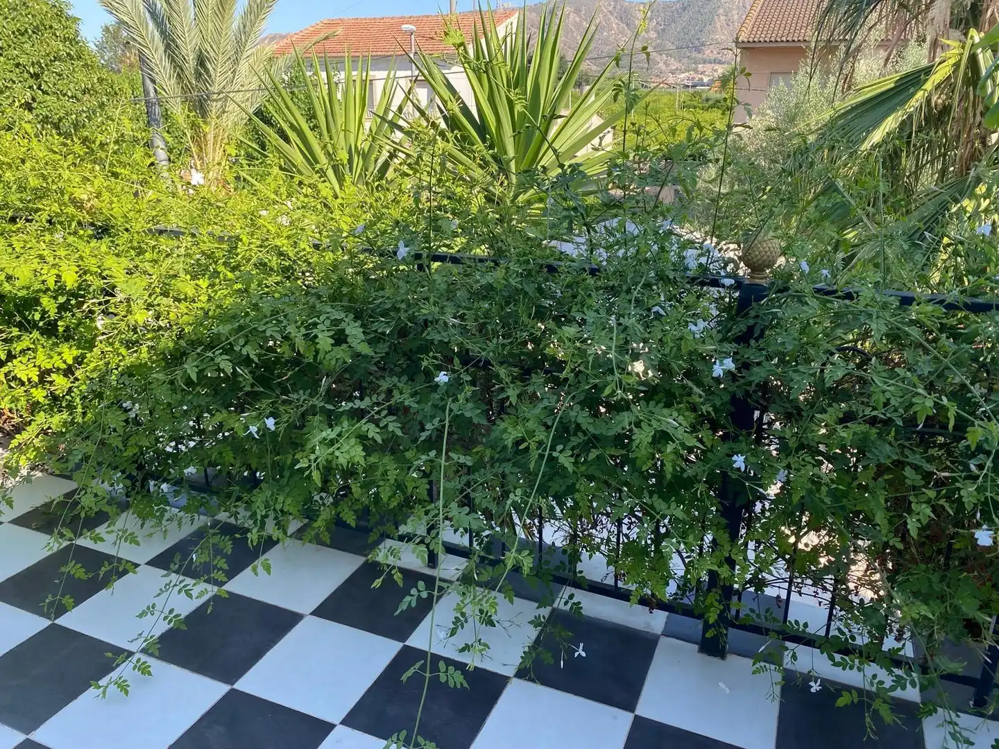 Jardín de Casa o chalet en venta en Murcia con Aire acondicionado, Jardín privado y Terraza