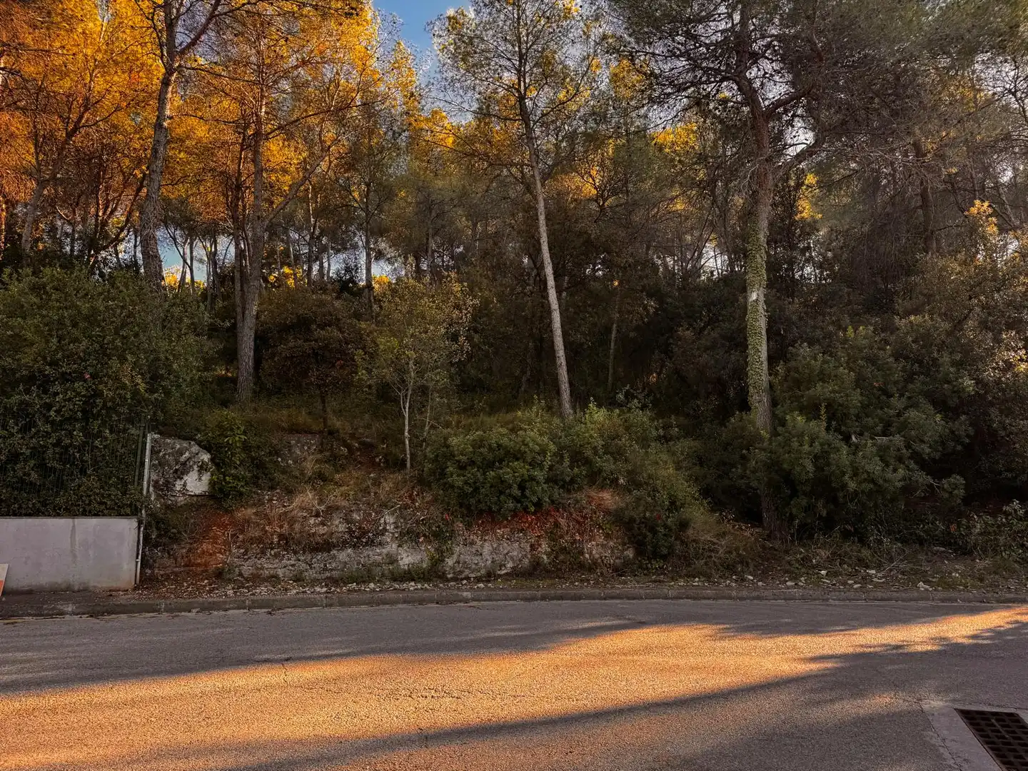 Wohnbaugrundstück zum Verkauf in Corbera de Llobregat, imagen 4