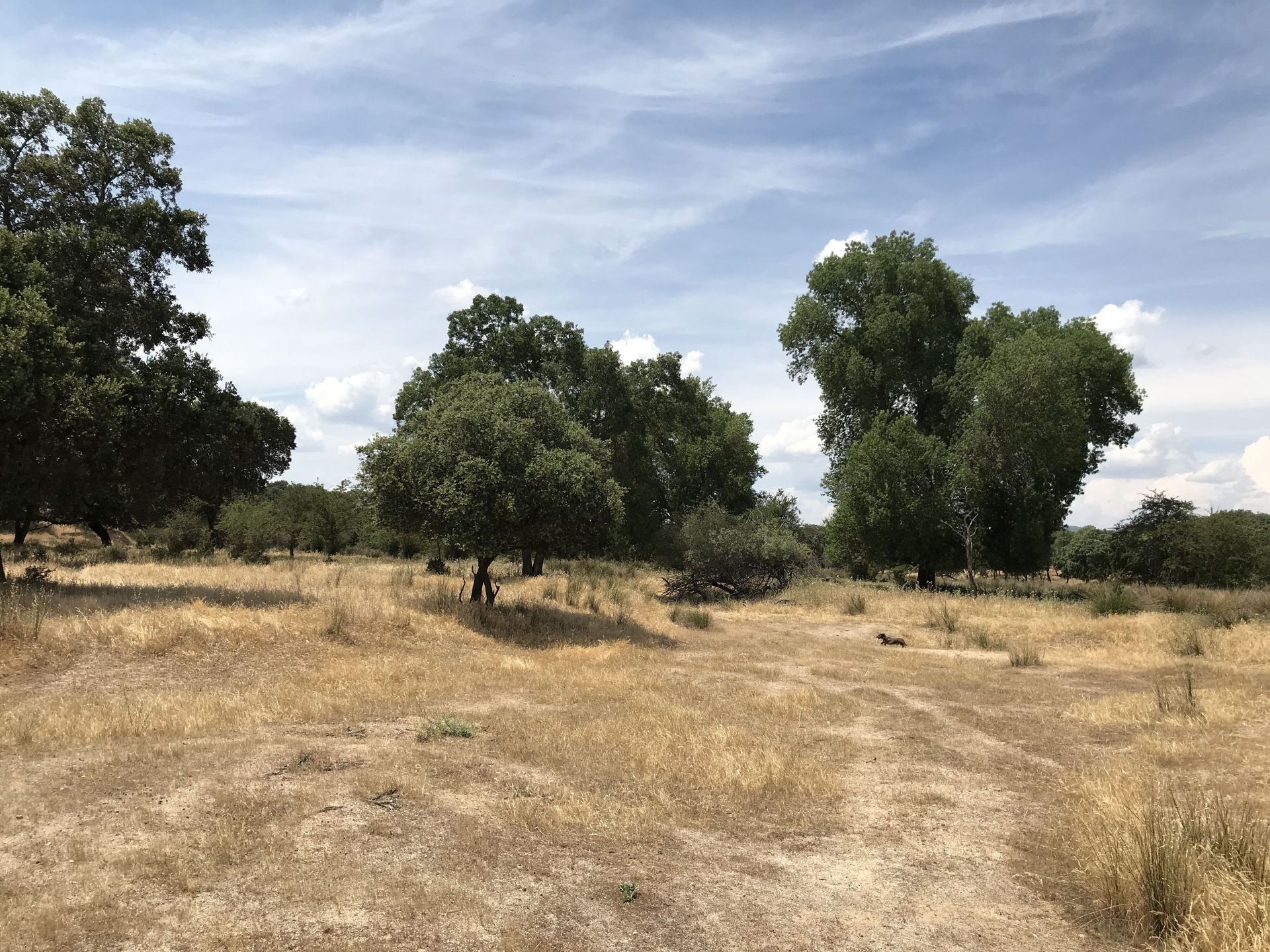 Country house for sale in Nombela