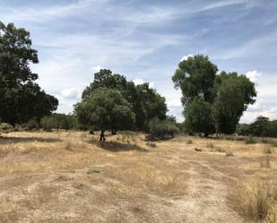 Finca rústica en venda en Nombela