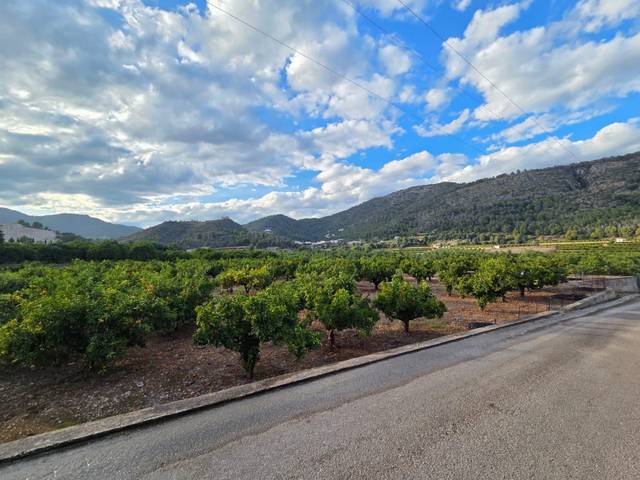 Finca rústica en Venta en L'Atzúbia