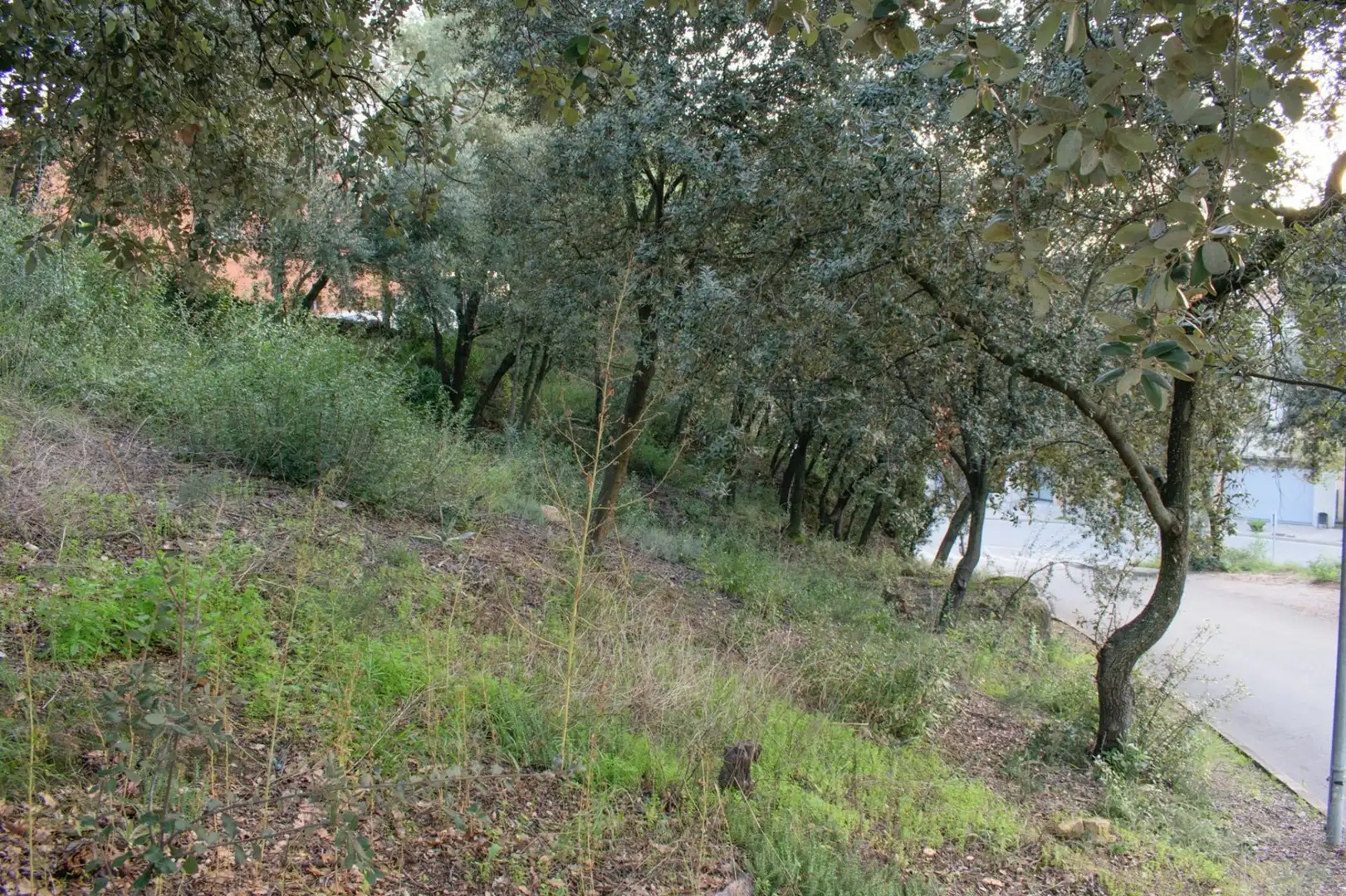 Lands and plots for sale in Bigues i Riells del Fai, imagen 4