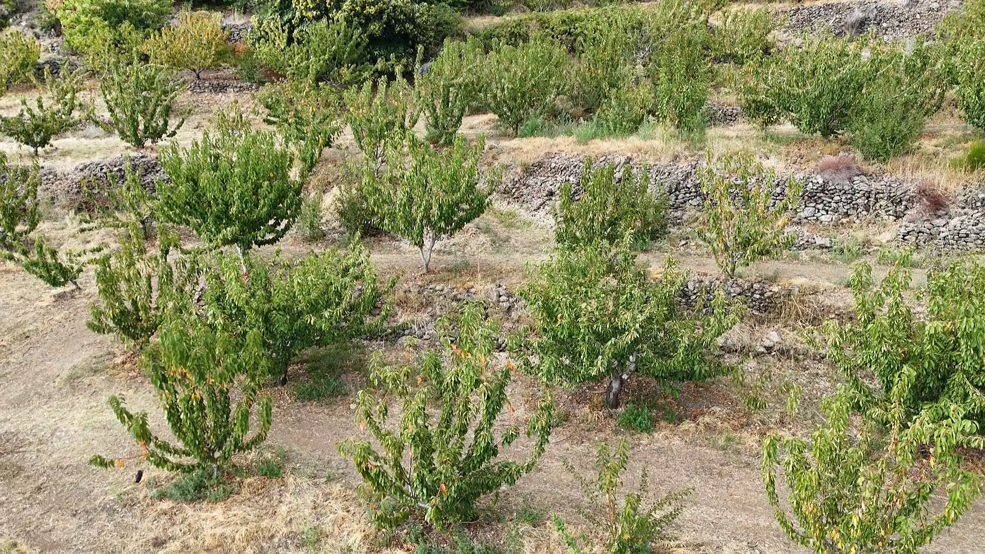 Terrain rustique à vendre à Avenida Extremadura 72, imagen 10