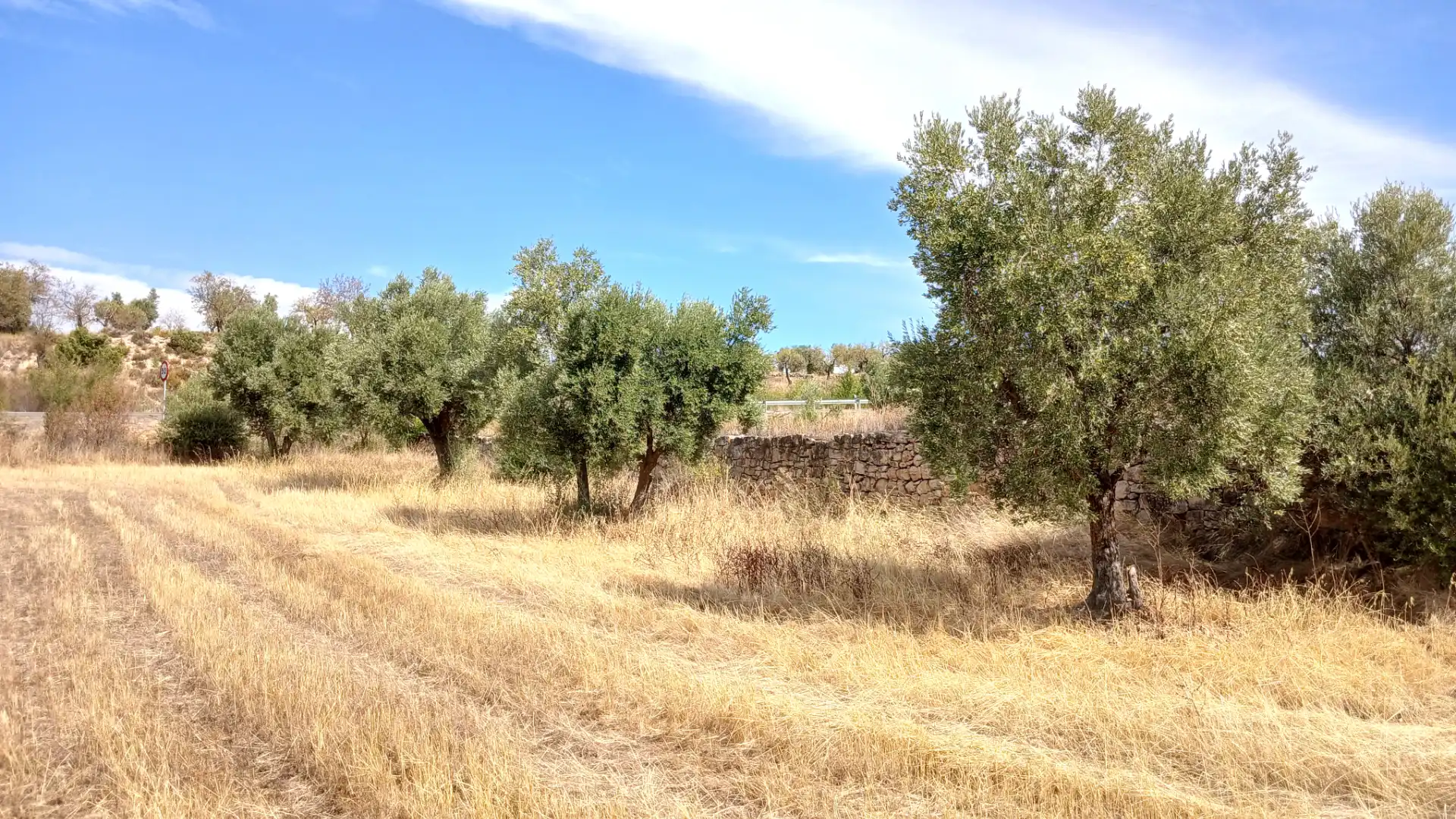 Rustikales Grundstück zum Verkauf in Carretera Tortosa 3, imagen 9