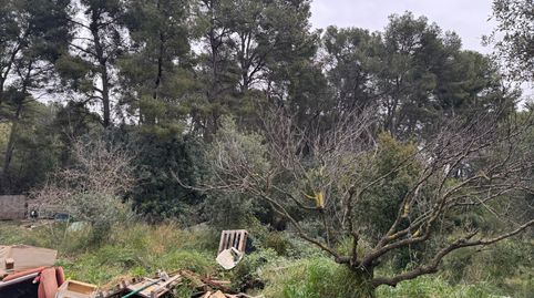 Foto 3 de Terreno en venta en Torre-roja-Campreciós, Viladecans