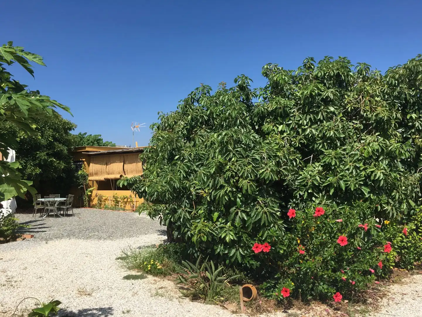 Casa rústica en venda a Monte los Almendros - El Pargo - Costa Aguilera, imagen 75
