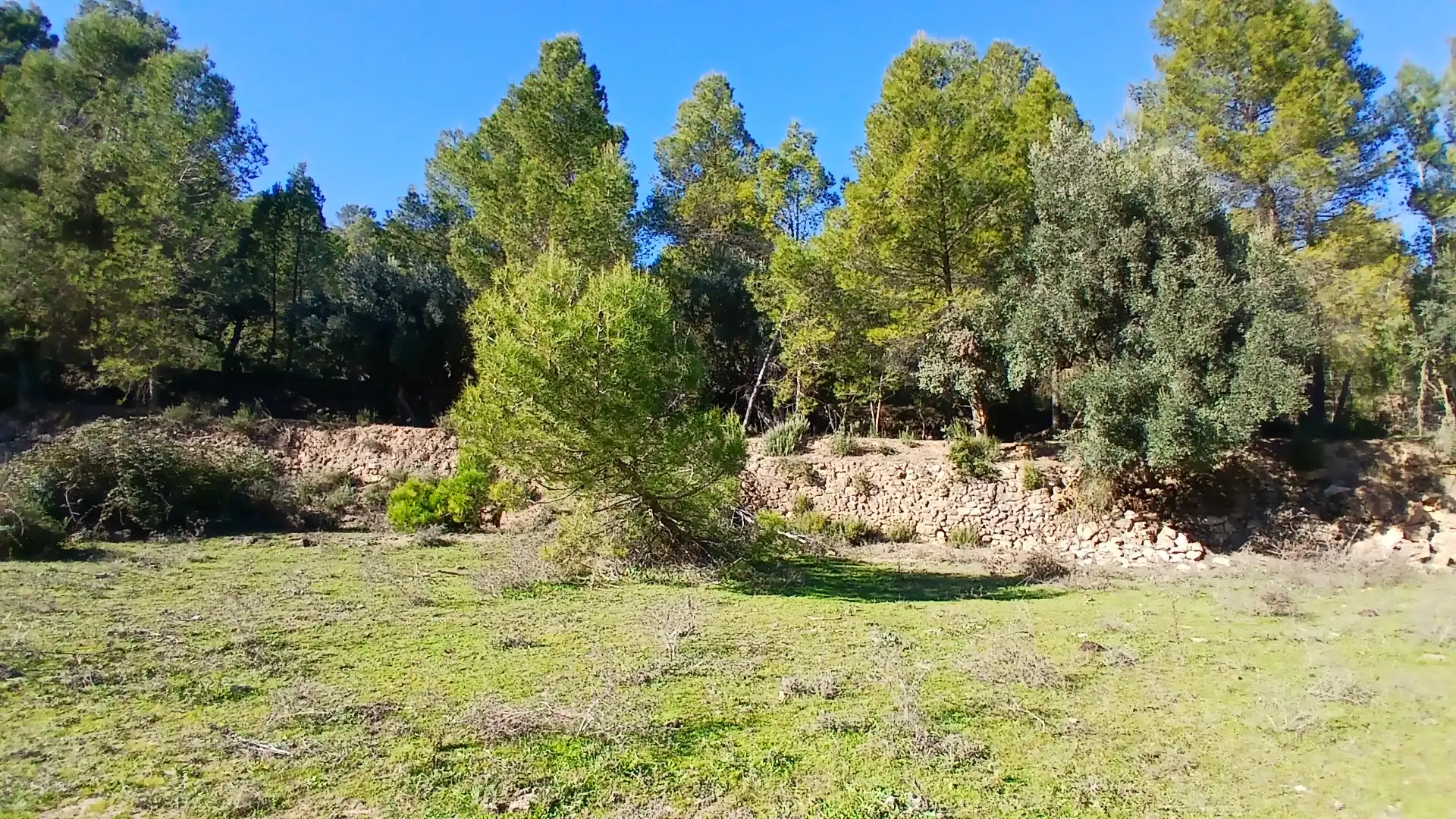 Terreno rustico in vendita a Calle Tremedal 13, imagen 15