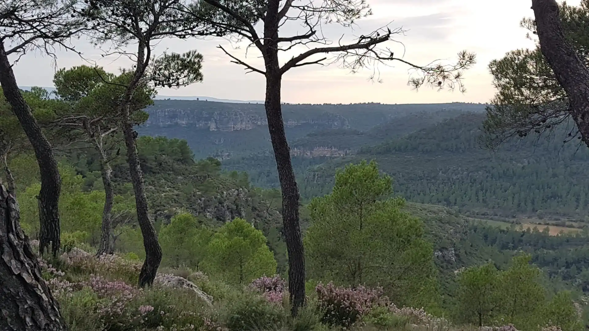 Casa o xalet en venda en Mogente / Moixent amb Aire condicionat, Calefacció i Jardí privat