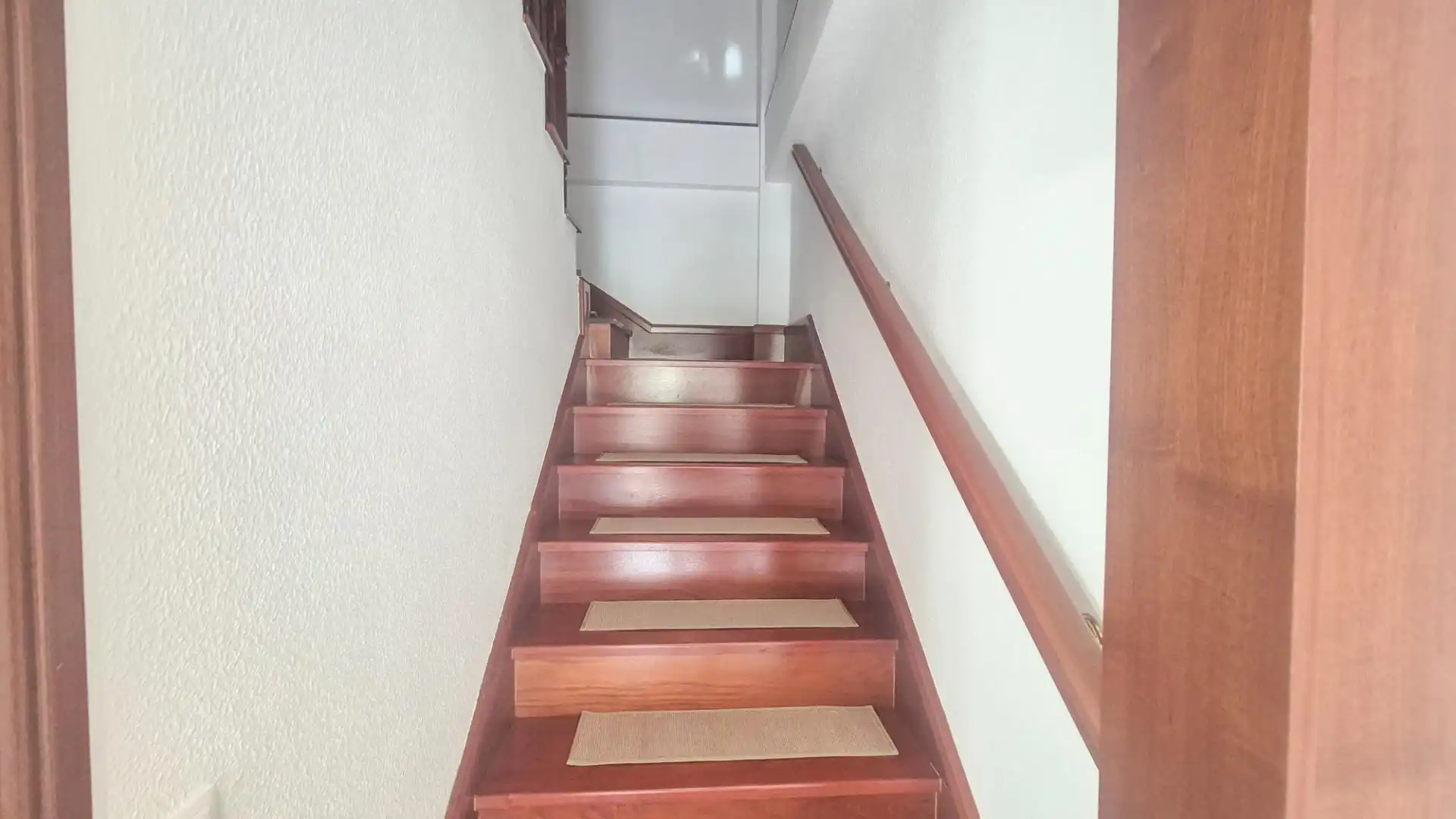 Houses for rent in Centro