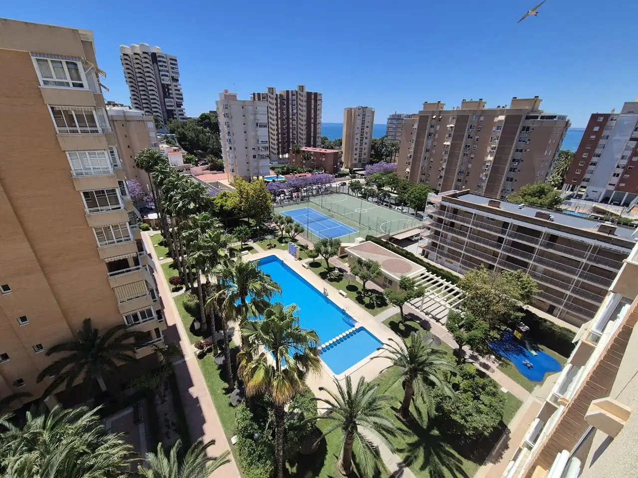 Vista exterior de Pis en venda en Alicante / Alacant amb Aire condicionat i Terrassa