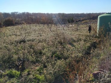 Terrenos y solares en venta en Gargüera