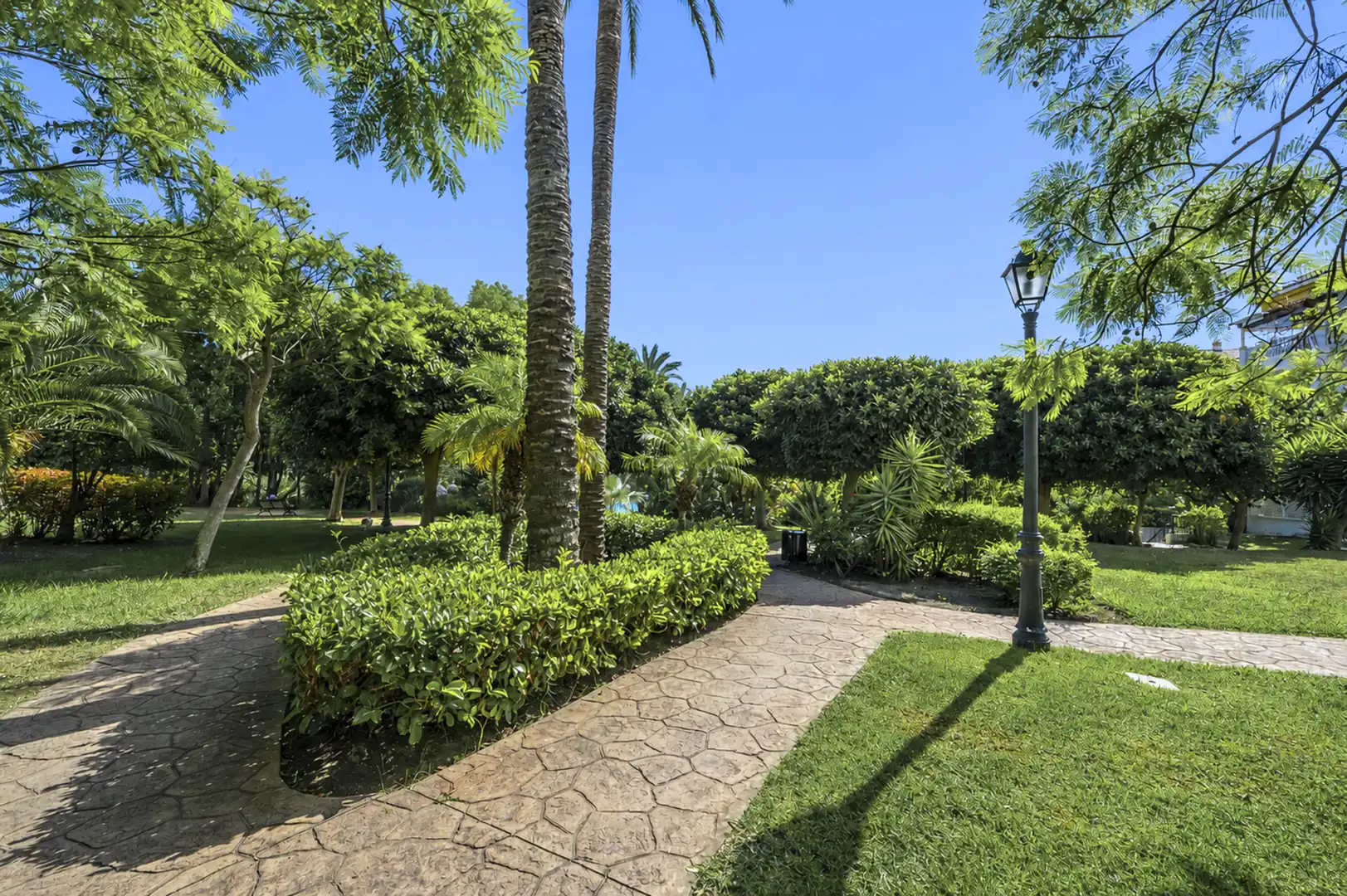 Garden of Apartments for rent in Marbella  with Terrace, Swimming Pool and Community pool