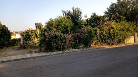 Foto 4 de Residencial en venda a Calle Madrid, 38, Las Pajanosas, Guillena