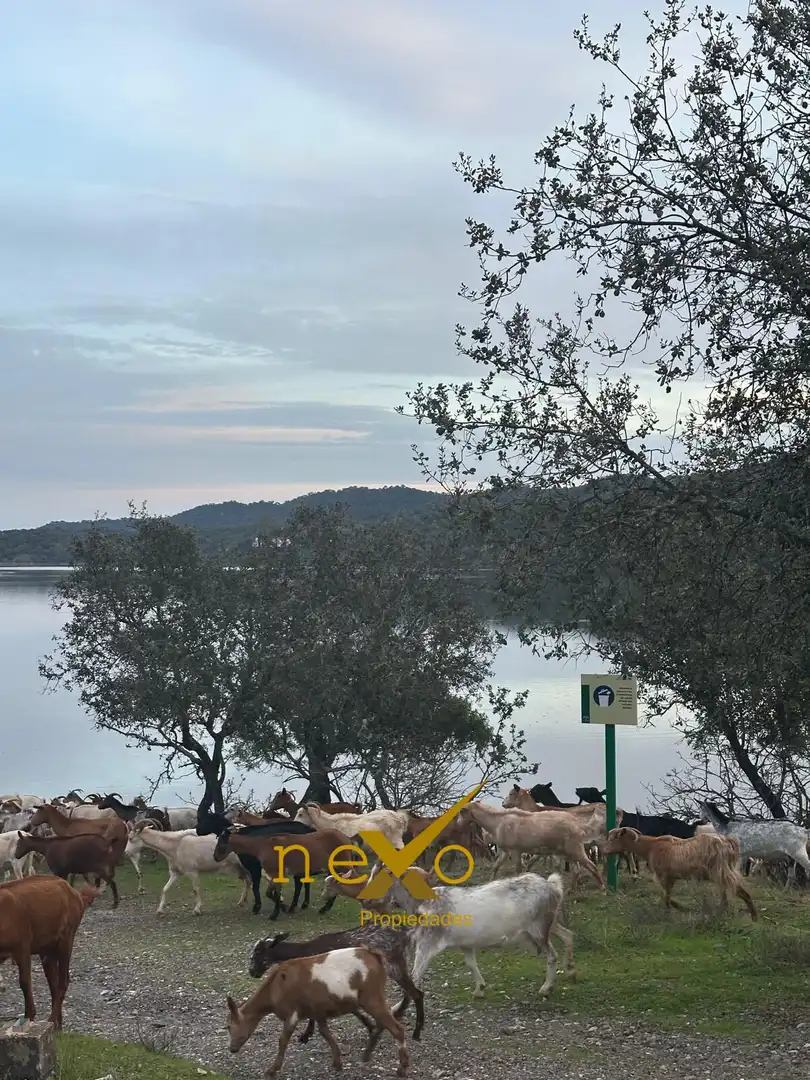 Vista exterior de Finca rústica en venda en Las Navas de la Concepción amb Jardí privat, Piscina i Moblat