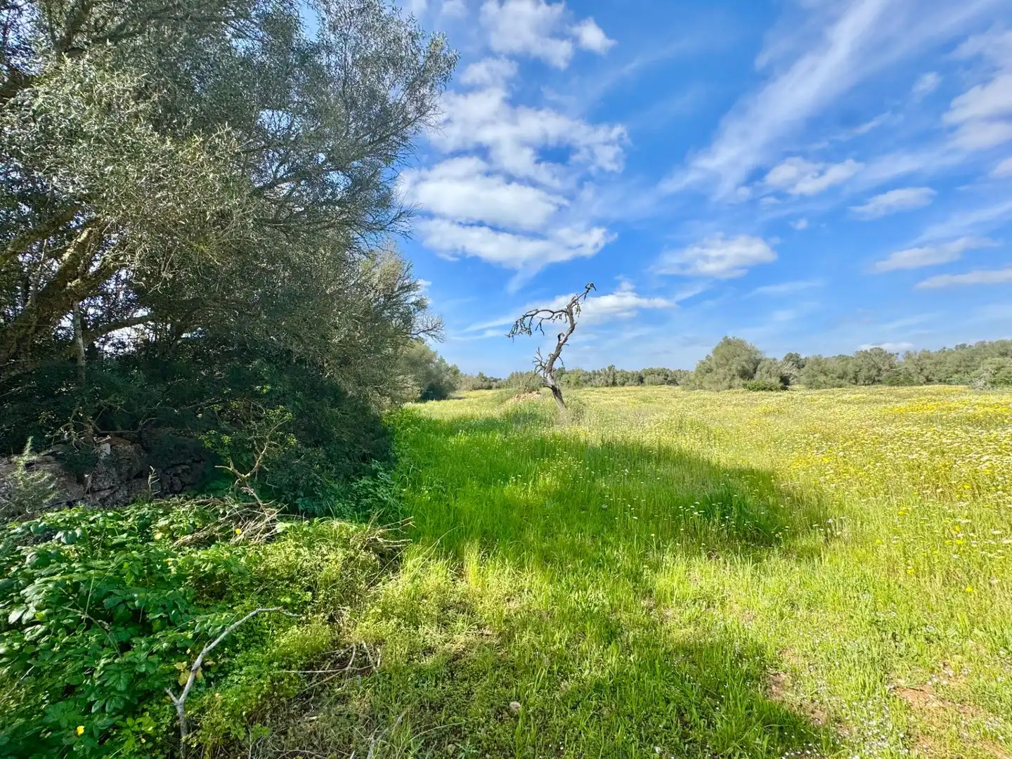 Residential land for sale in parcela 27 del polígono 22. Campos, imagen 8