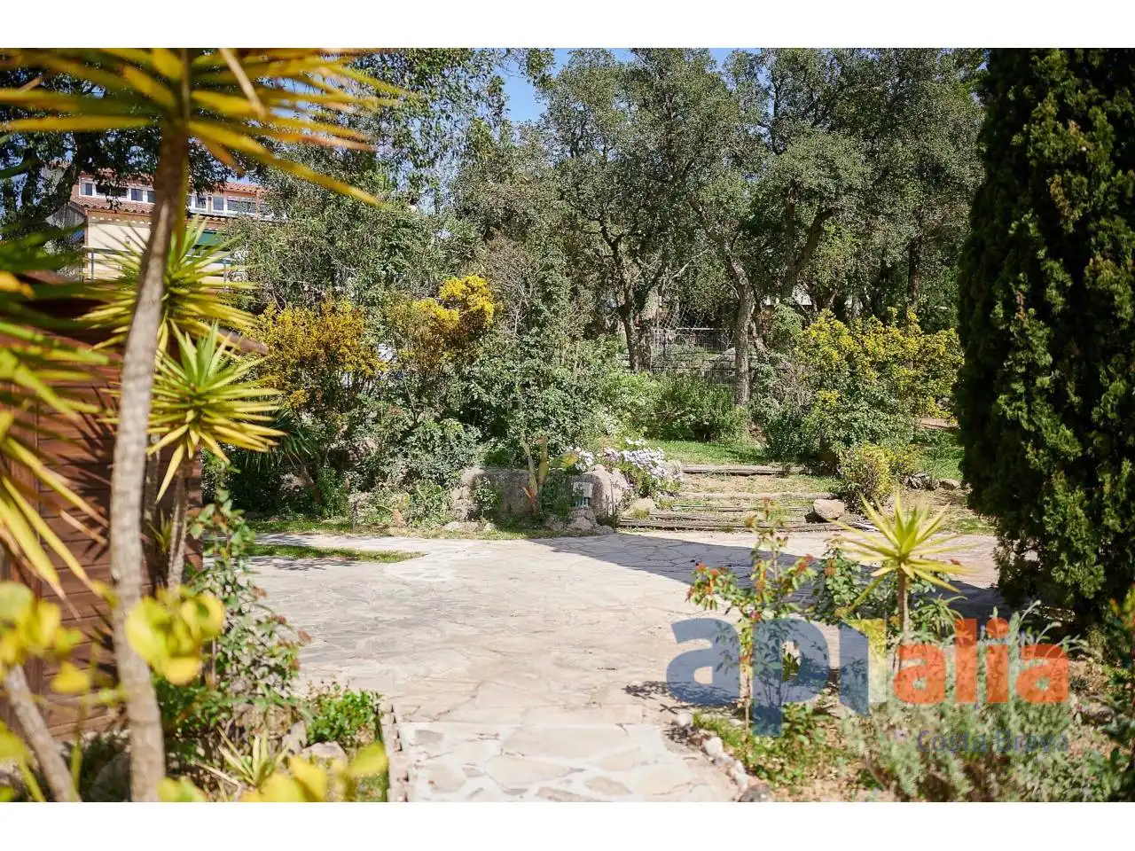 House with pool for sale in Calle  Roques Altes, imagen 21