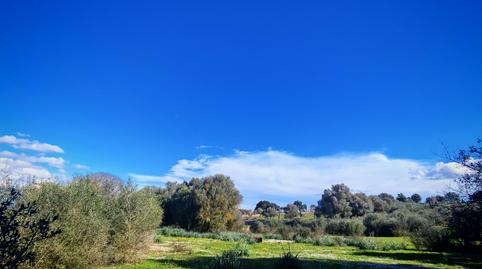 Foto 5 de Finca rústica en venta en Costitx Jornets, Costitx, Illes Balears